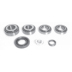 DS 1421 , BEARING KIT - DIFFERANTIAL
