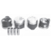 ES 125196 100 , PISTON - PIN AND RING SET